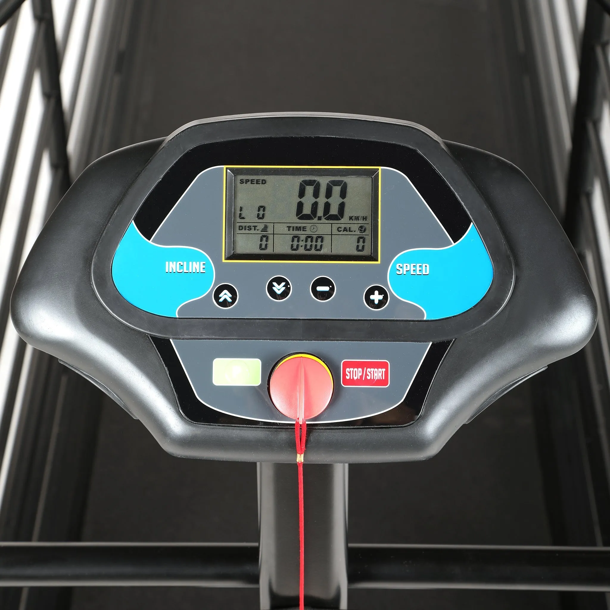 Maximum Canine Revolution Pro Treadmill